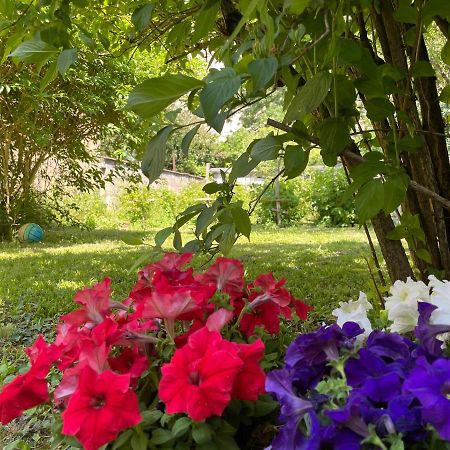 بُيزانكون Chambre Privee Vue Sur Le Jardin Proche Centre Ville المظهر الخارجي الصورة
